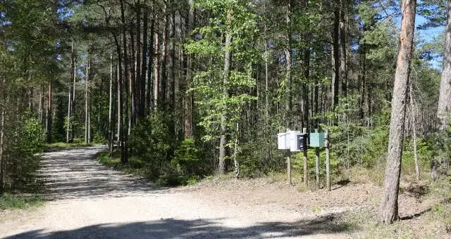 Briefkästen im Wald